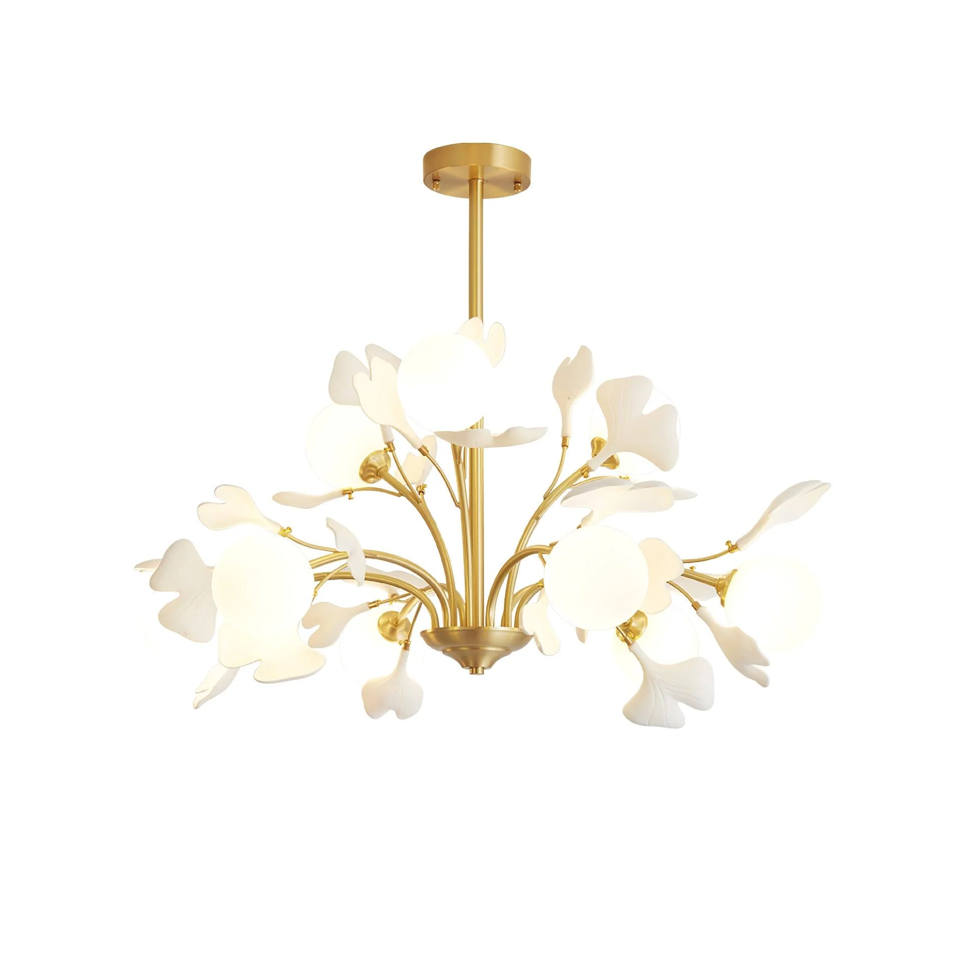 Product image 50